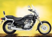 2008 Bajaj Avenger DTS-i photo